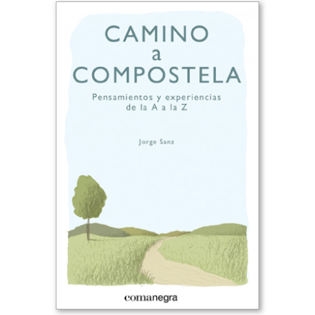 Camino a compostela