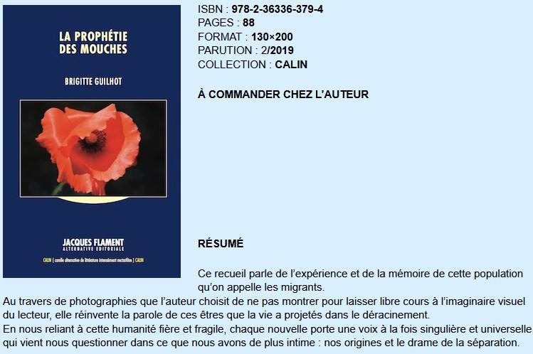 Livre lesmouches guilhot