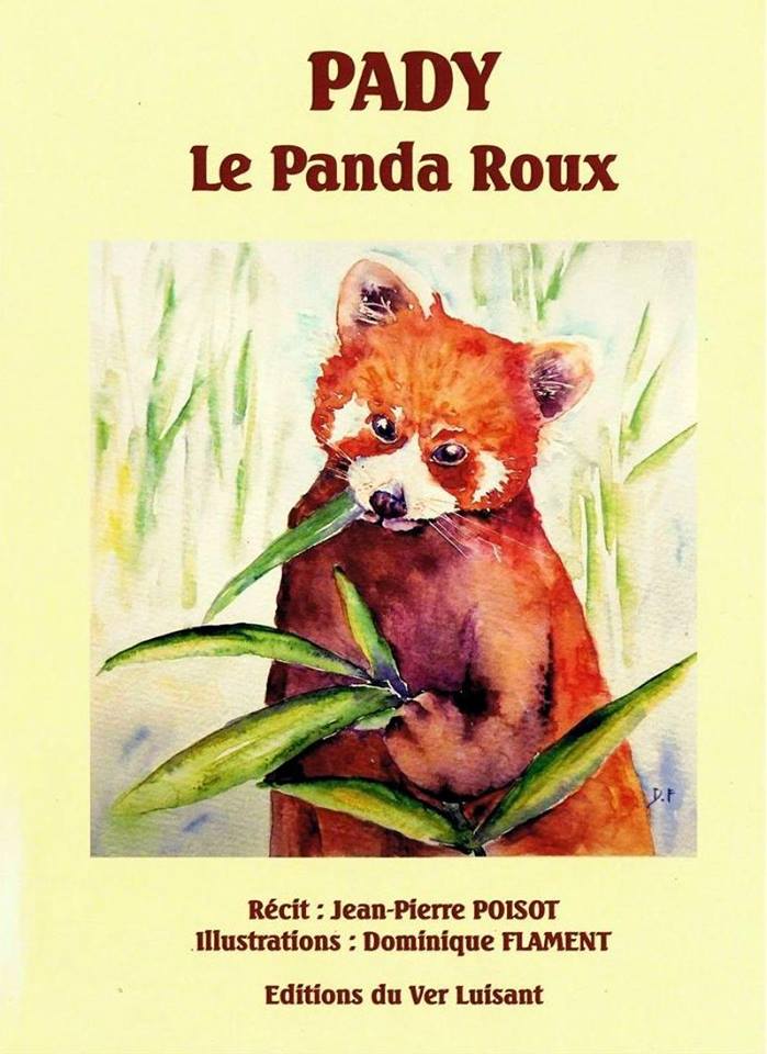 Pady le panda roux